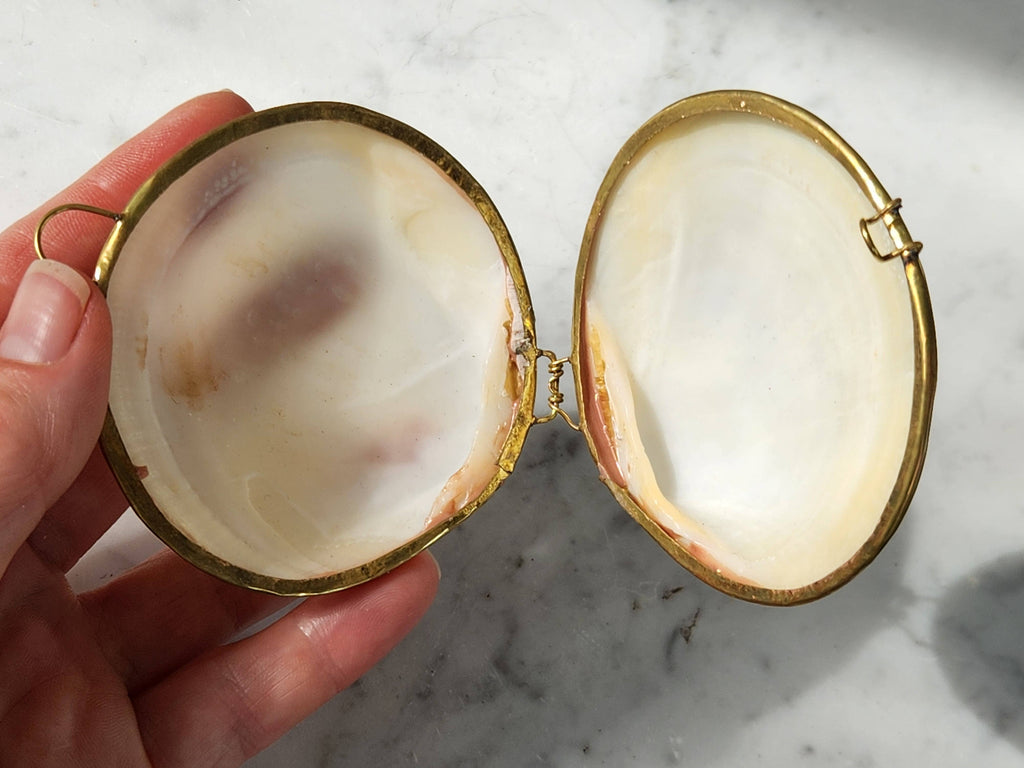 Mini Clam Trinket Pill Box, Coin Purse