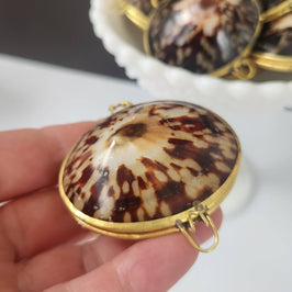 Polished Limpet Trinket Box