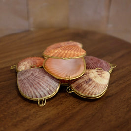 Noble Pectin Trinket Pill Box, Coin Purse
