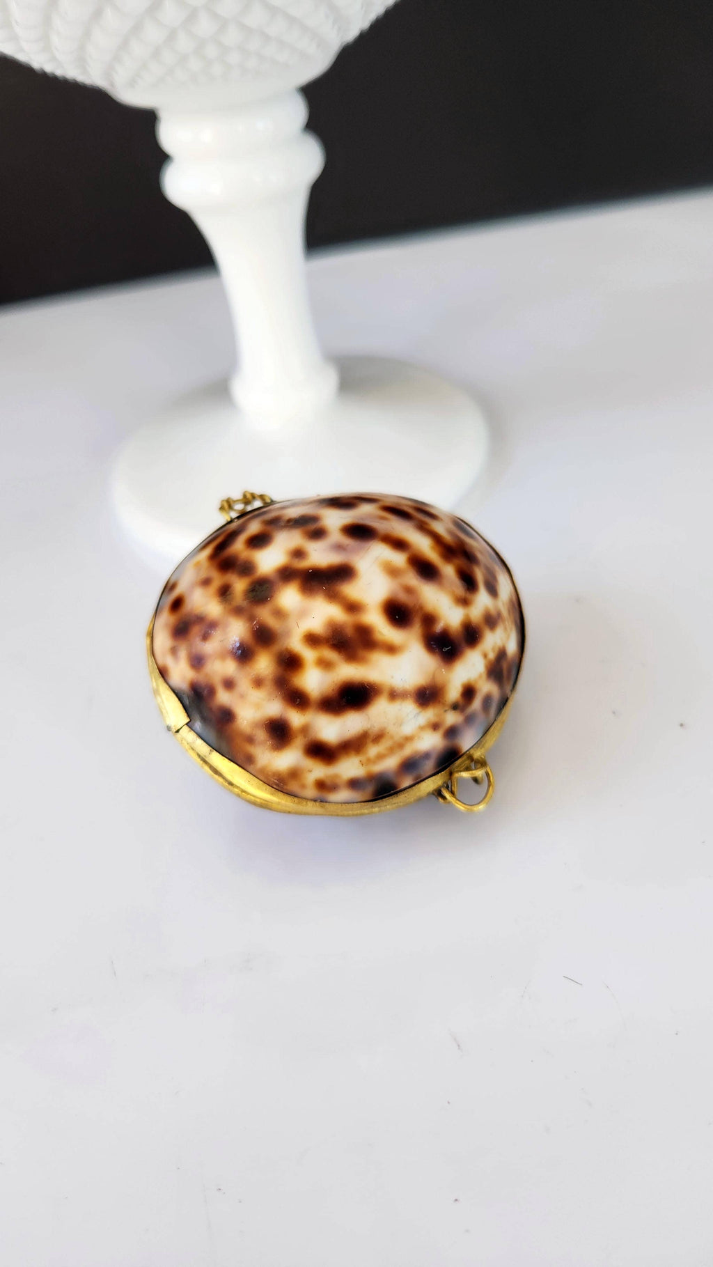 Tiger Cowrie Trinket Pill Box, Coin Purse