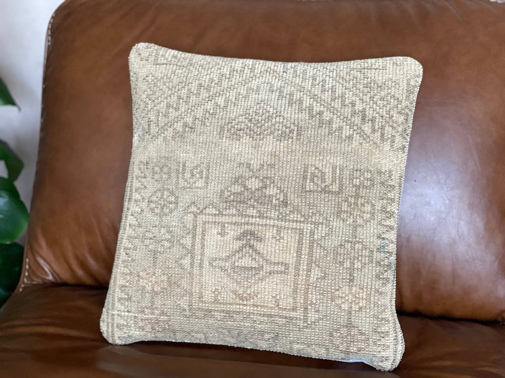 Pastel Vintage Persian Rug Pillow | Asli 16’