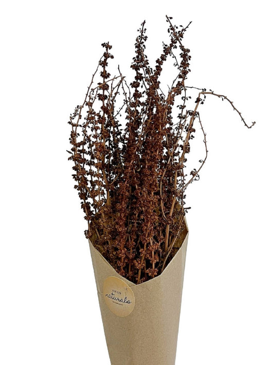 Palang Grass in Craft Paper Wrap Natural H 31.5"