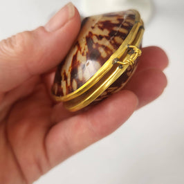 Polished Limpet Trinket Box