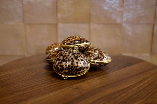 Tiger Cowrie Trinket Pill Box, Coin Purse
