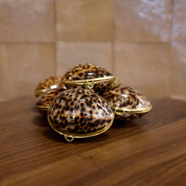 Tiger Cowrie Trinket Pill Box, Coin Purse