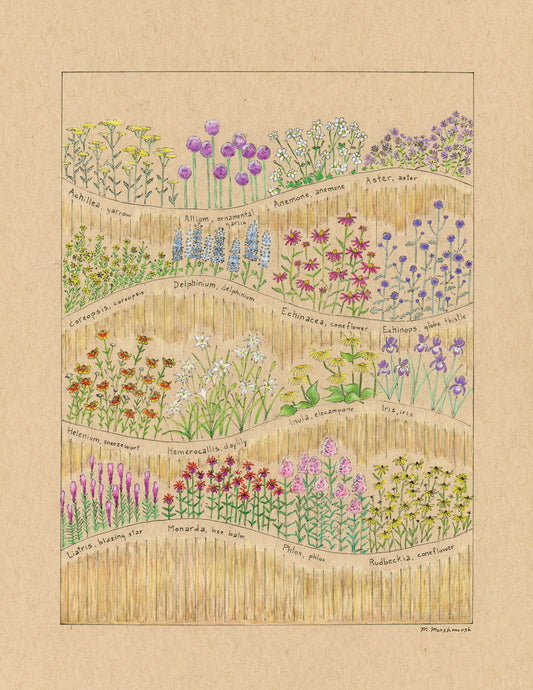 Garden Flowers Print 8.5x11