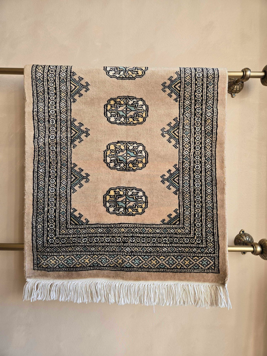 Tan Green Bordered Med Pakistani Rug