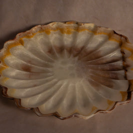 Heirloom Scalloped Tray - Onyx
