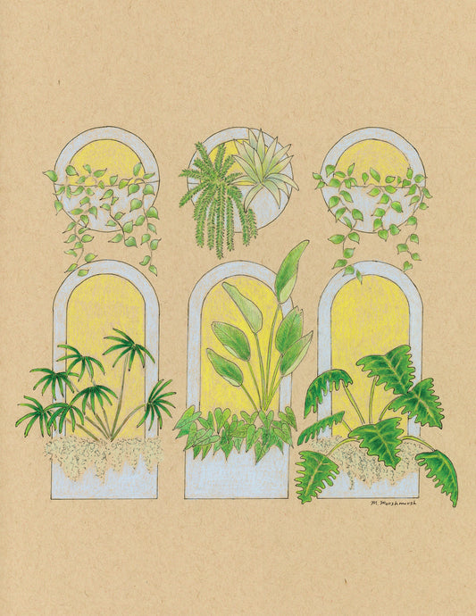 Tropical Flora (arches) Print 8.5x11