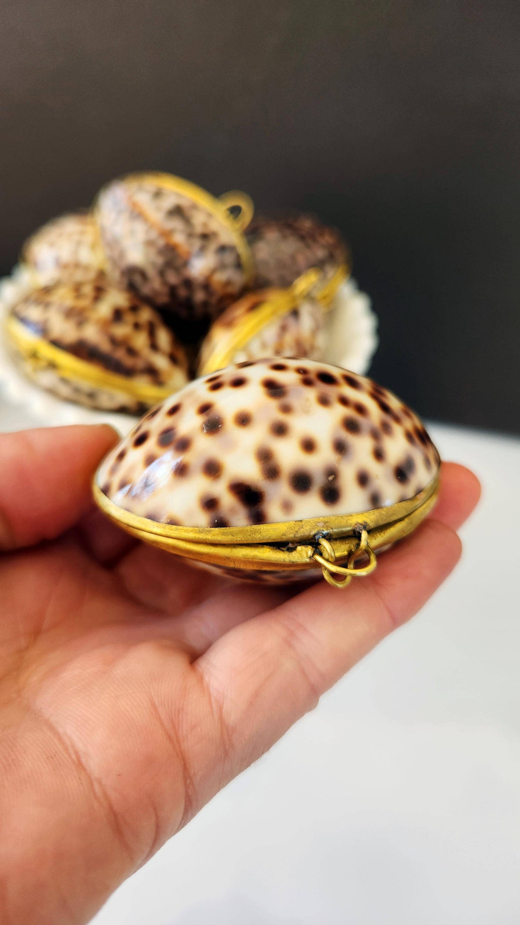 Tiger Cowrie Trinket Pill Box, Coin Purse
