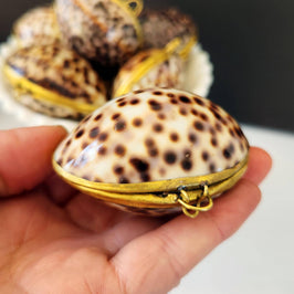 Tiger Cowrie Trinket Pill Box, Coin Purse
