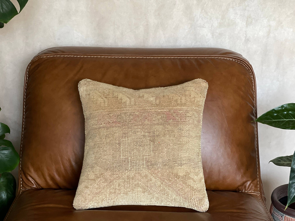Pastel Vintage Persian Rug Pillow | Asli 16’