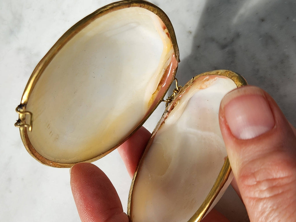 Mini Clam Trinket Pill Box, Coin Purse