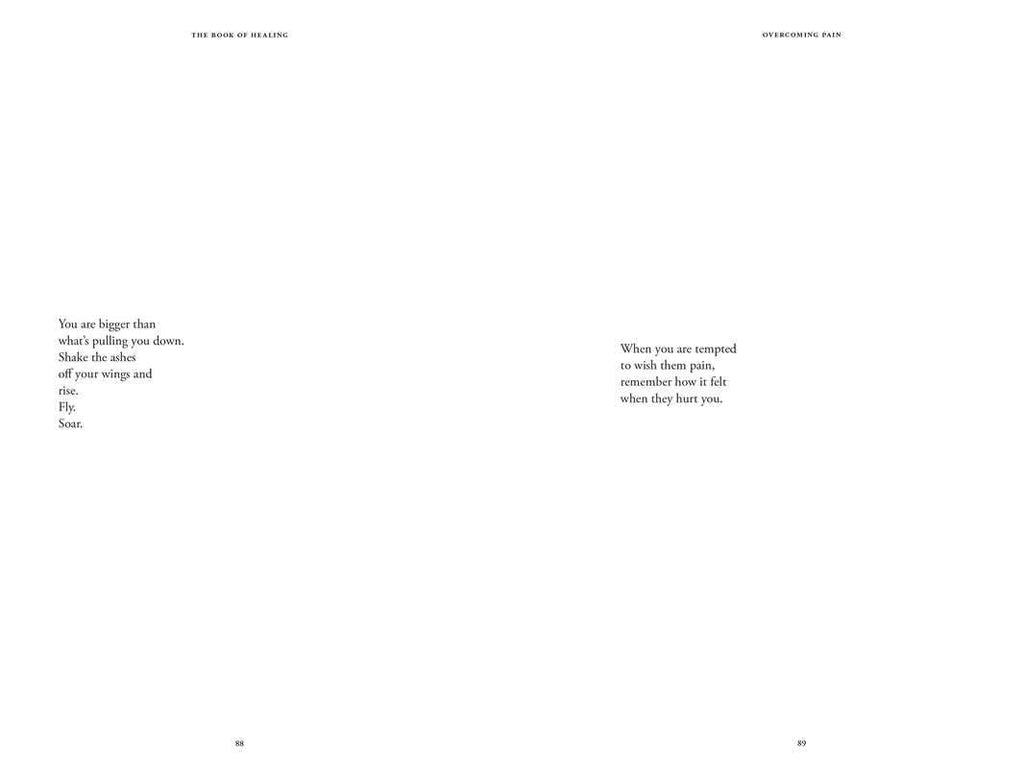 Book of Healing by Najwa  Zebian