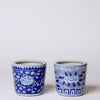 Tiny Blue and White Porcelain Peony Cachepot