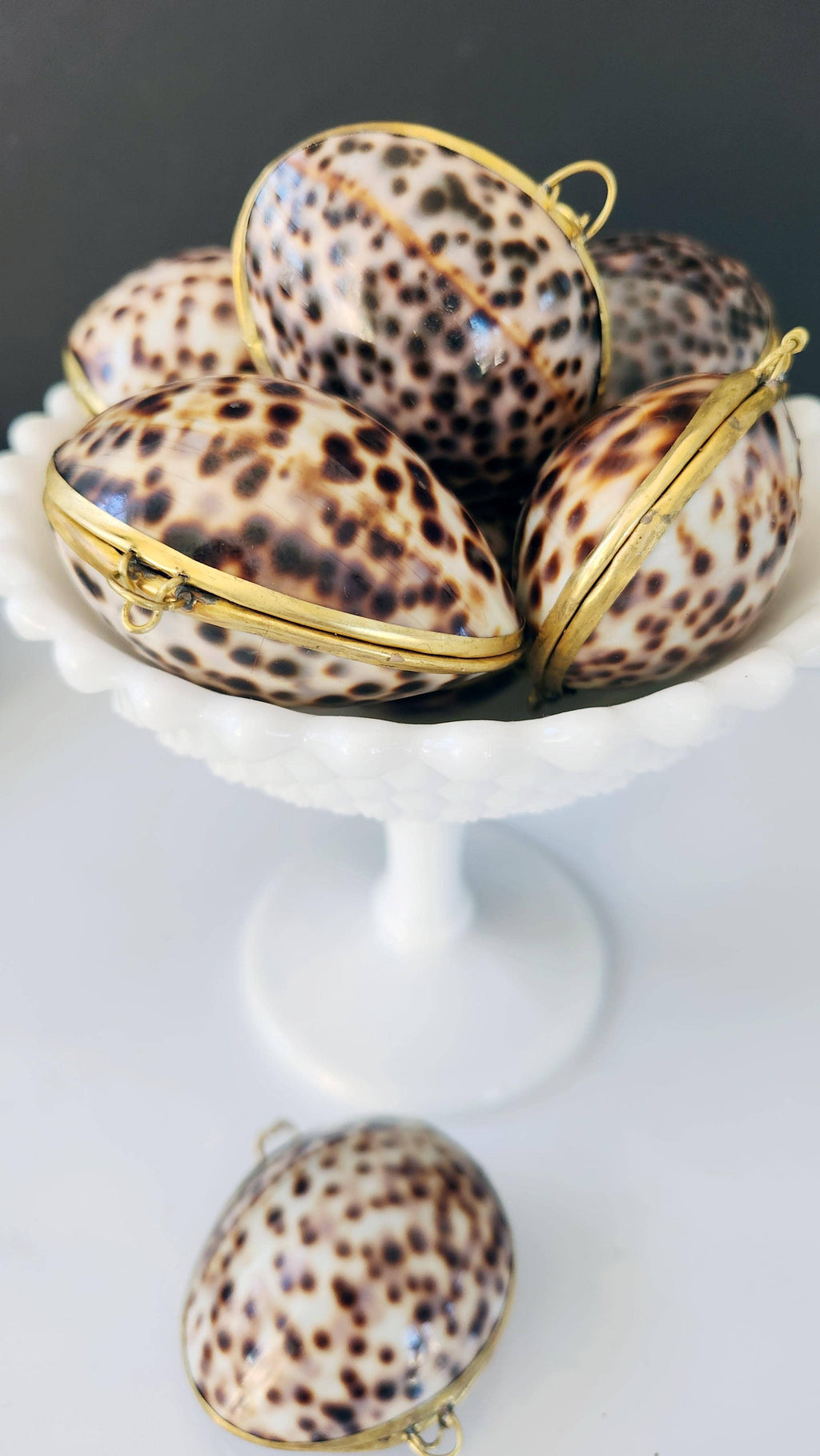 Tiger Cowrie Trinket Pill Box, Coin Purse