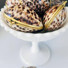 Tiger Cowrie Trinket Pill Box, Coin Purse