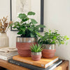 Ceramic Planter Pot, Two-Tone with Drainage - Freya