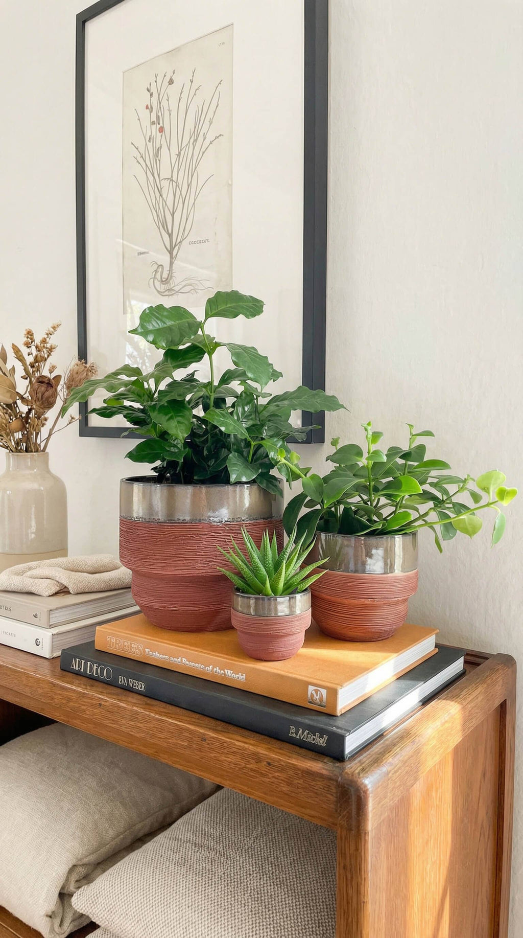 Ceramic Planter Pot, Two-Tone with Drainage - Freya