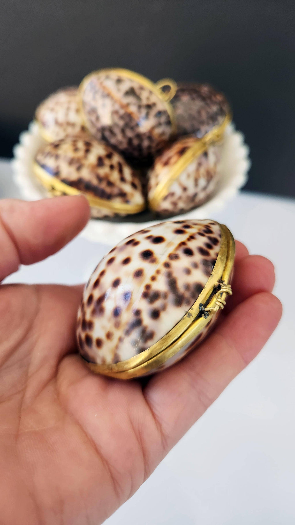 Tiger Cowrie Trinket Pill Box, Coin Purse