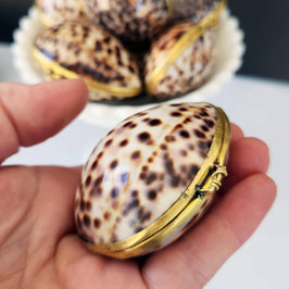 Tiger Cowrie Trinket Pill Box, Coin Purse