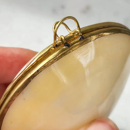 Mini Clam Trinket - Pill Box - Coin Purse