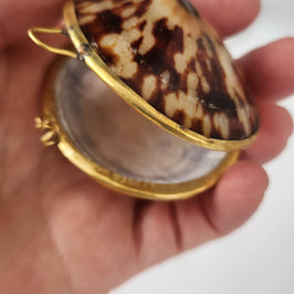 Polished Limpet Trinket Box