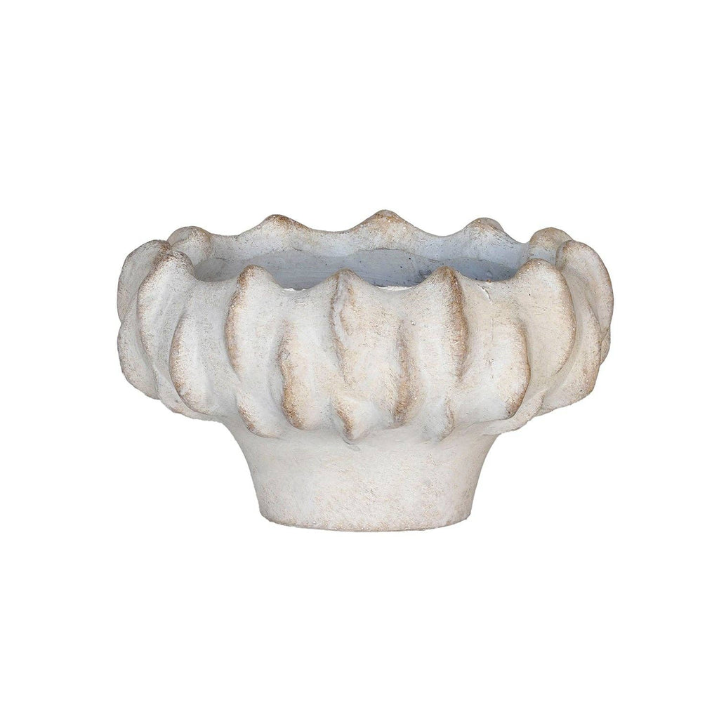 Shallow Lucid Planter