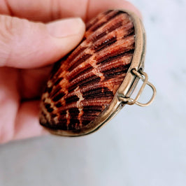 Pink Pectin Scallop Trinket Box