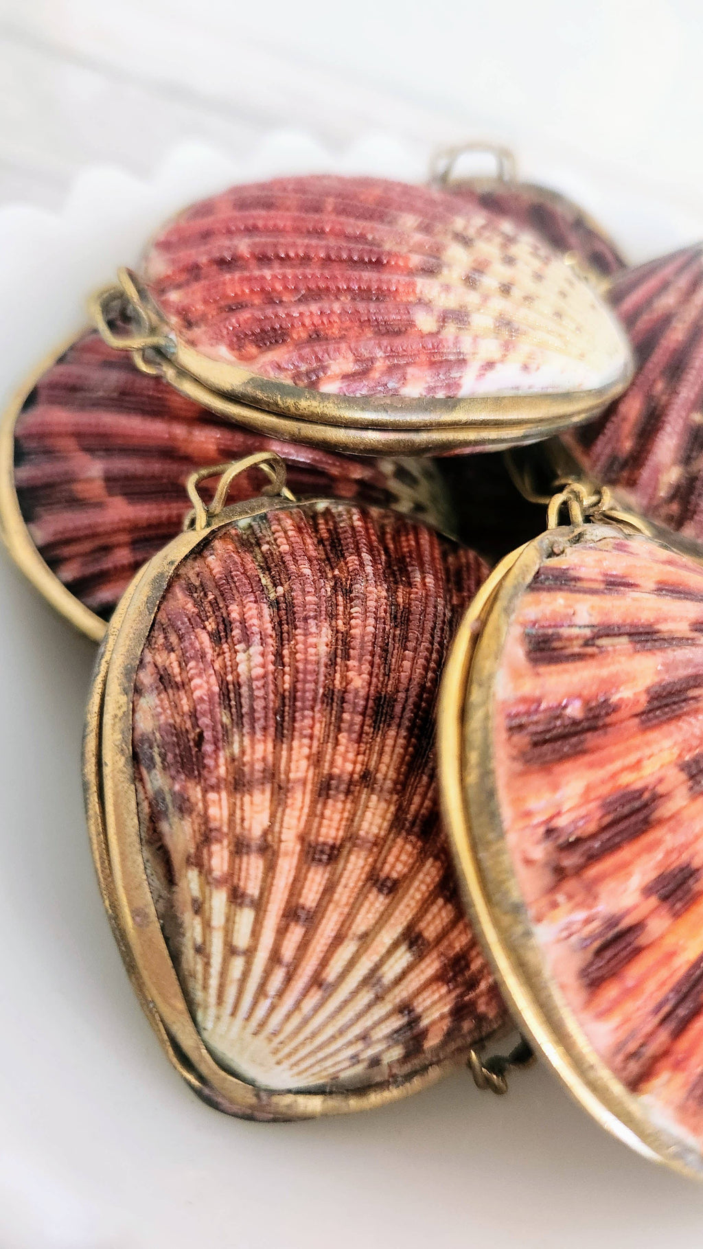 Pink Pectin Scallop Trinket Box