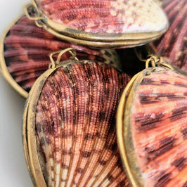 Pink Pectin Scallop Trinket Box