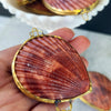Noble Pectin Trinket Pill Box, Coin Purse