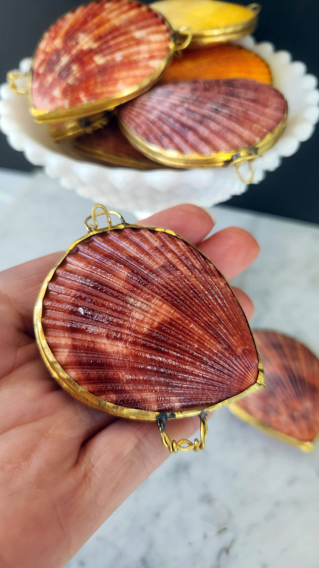 Noble Pectin Trinket Pill Box, Coin Purse