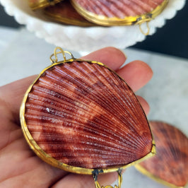 Noble Pectin Trinket Pill Box, Coin Purse