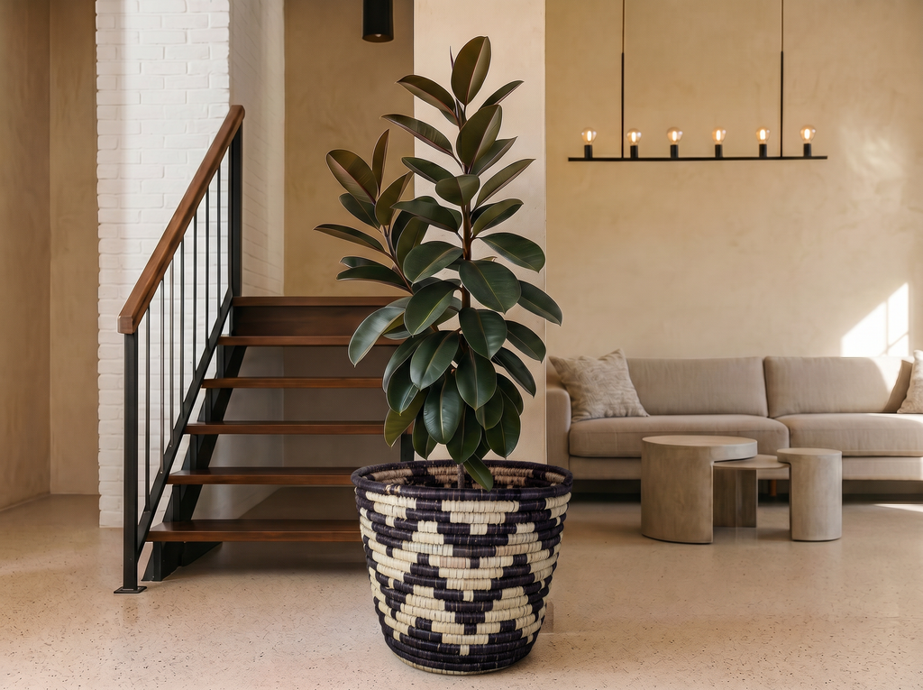 Black Kingra Woven Plant Pot Basket