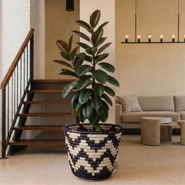 Black Kingra Woven Plant Pot Basket