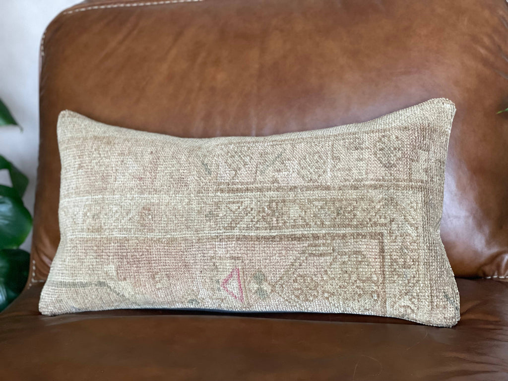 Pastel Vintage Persian Rug Pillow | Asli 12x24