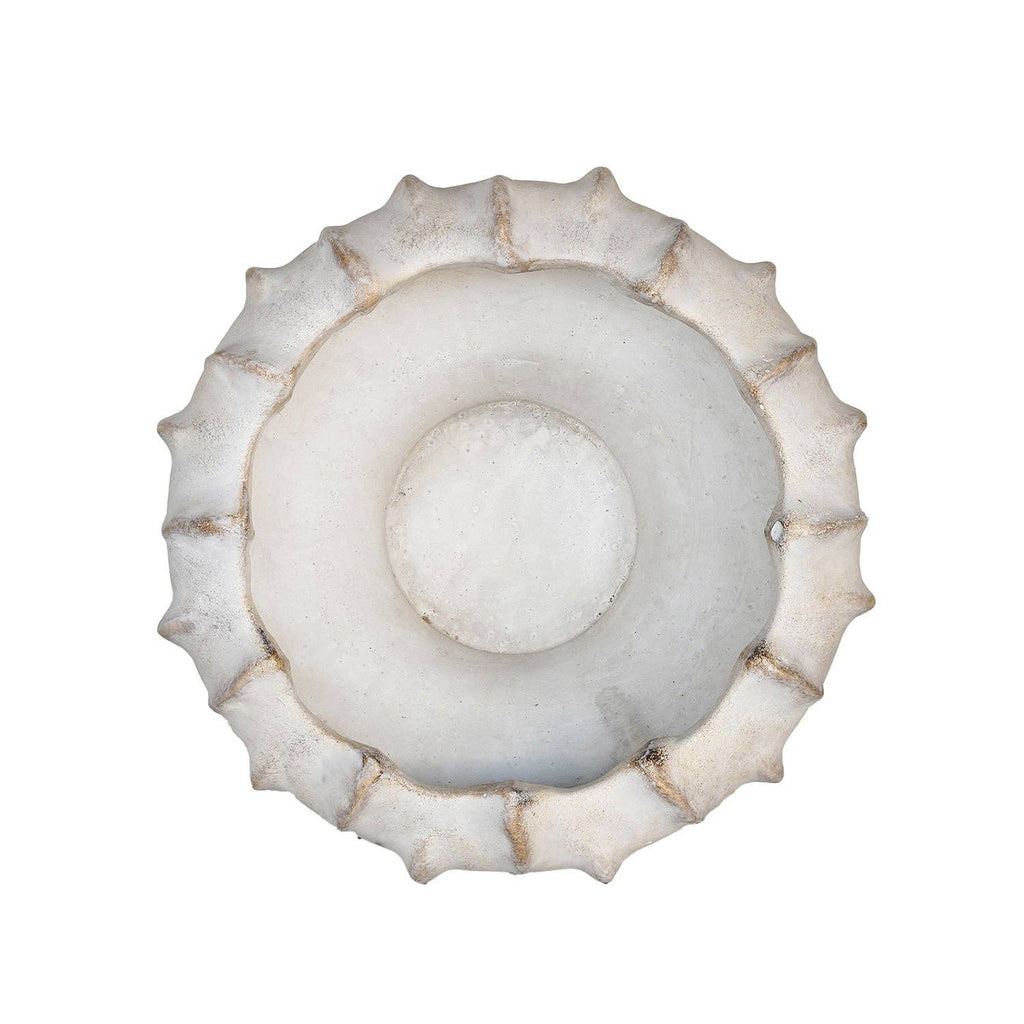 Shallow Lucid Planter
