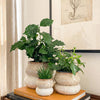 Ceramic Planter Pot, Stacked with Drainage - Noemi